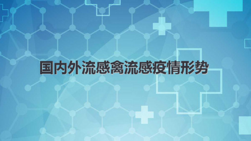 国内外流感禽流感疫情形势(冬奥会医疗卫生系统保障能力提升培训资料)