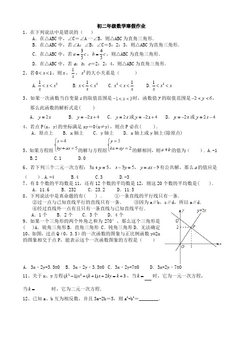 新课标名校联盟八年级数学寒假作业超强提分精华版 (9)