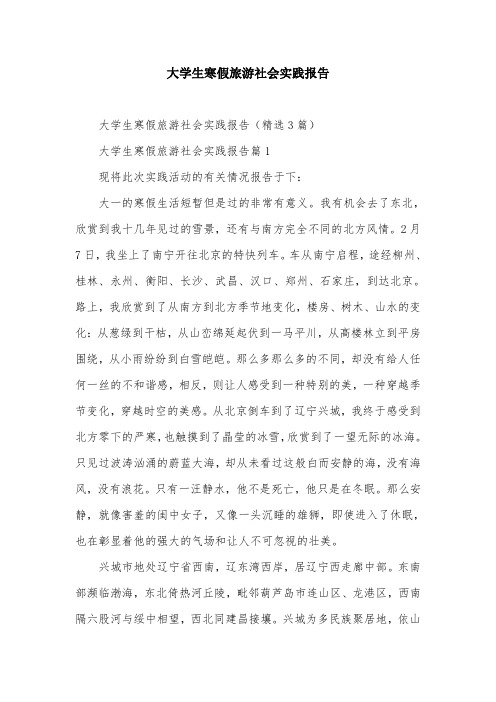 大学生寒假旅游社会实践报告