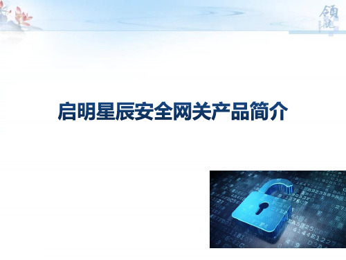 启明星辰安全网关产品简介