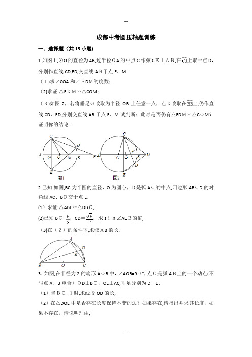 中考圆压轴题训练精选