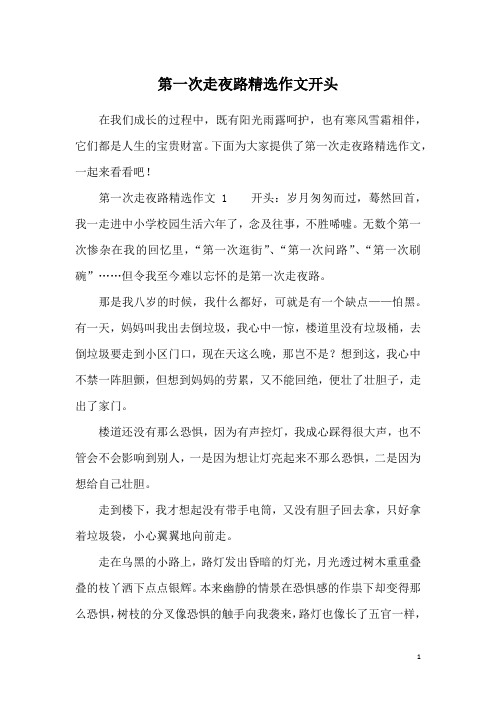 第一次走夜路精选作文开头