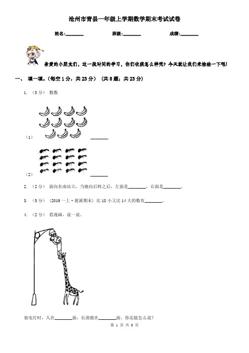 沧州市青县一年级上学期数学期末考试试卷