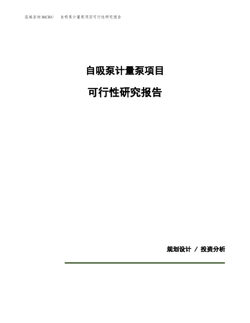 自吸泵计量泵项目可行性研究报告(规划设计模板)