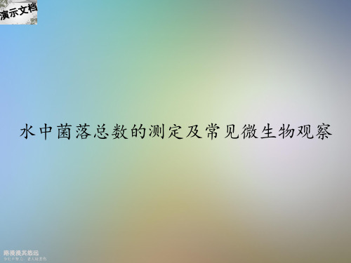 水中菌落总数的测定及常见微生物观察