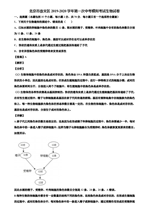 北京市崇文区2019-2020学年第一次中考模拟考试生物试卷含解析