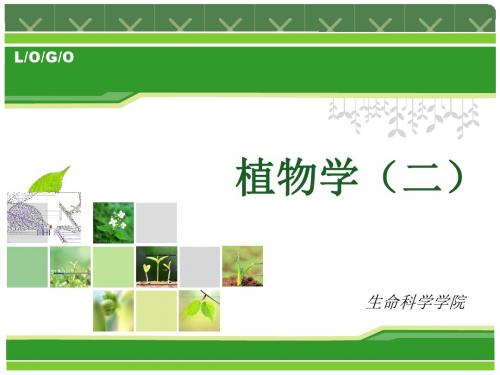 植物学下册
