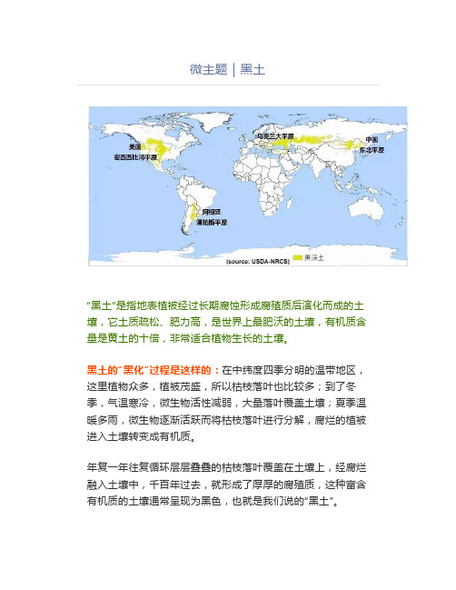 黑土知识汇总