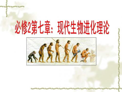 一轮复习现代生物进化理论