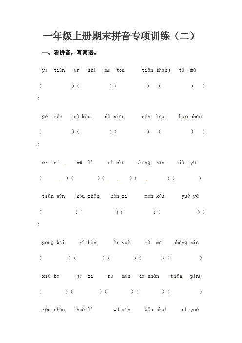 人教部编版一年级上册语文期末拼音专项训练(二)(含答案)