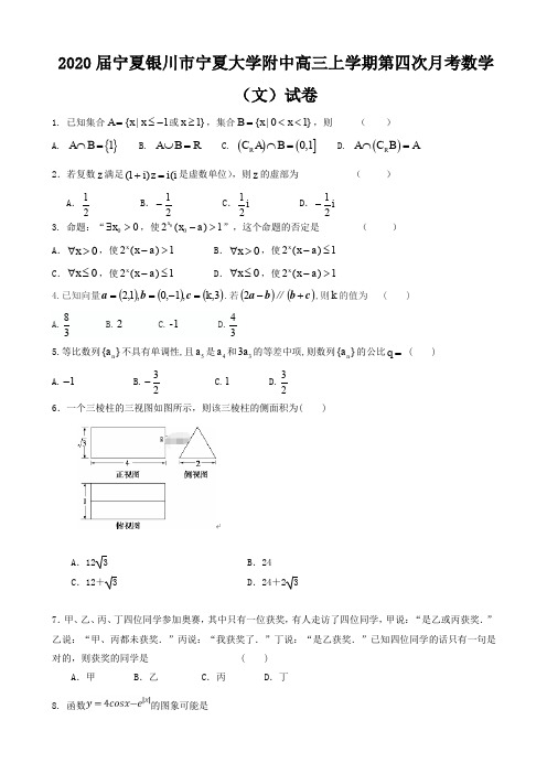 2020届宁夏银川市宁夏大学附中高三上学期第四次月考数学(文)试卷含答案