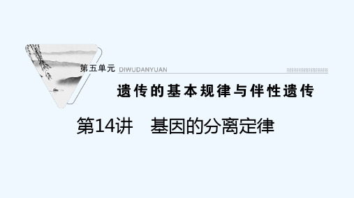 2022届高考生物一轮复习第五单元遗传的基本规律与伴性遗传第14讲基因的分离定律课件苏教版