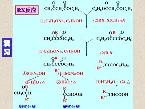 大学有机化学15、硝基化合物和胺