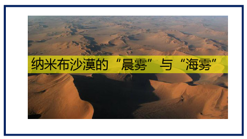 高三地理微专题“纳米布沙漠的晨雾与海雾”共20张PPT