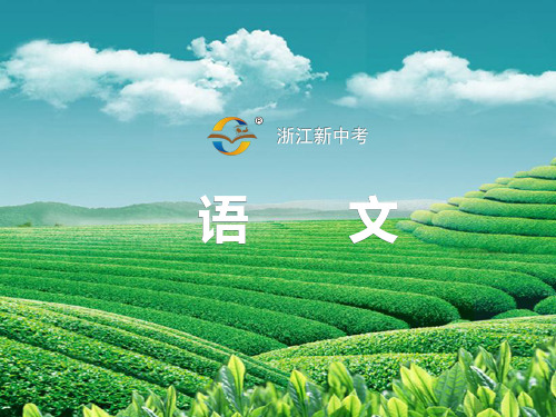 中考语文总复习：第一篇+课内文言文知识梳理八下7.醉翁亭记