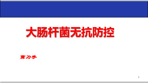 大肠杆菌无抗防控PPT课件