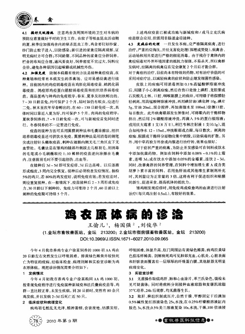 鸡衣原体病的诊治