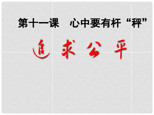 江苏省常州市新北区实验学校八年级政治下册《第11课 第1框 追求公平》课件 苏教版
