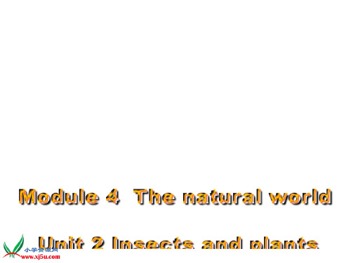 《Module 4 Unit 2(4)》沪教牛津版三年级英语上册教材课件PPT