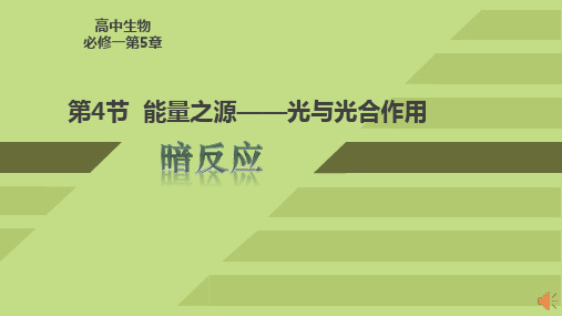 能量之源-光与光合作用 高中生物必修一教学课件PPT 人教版