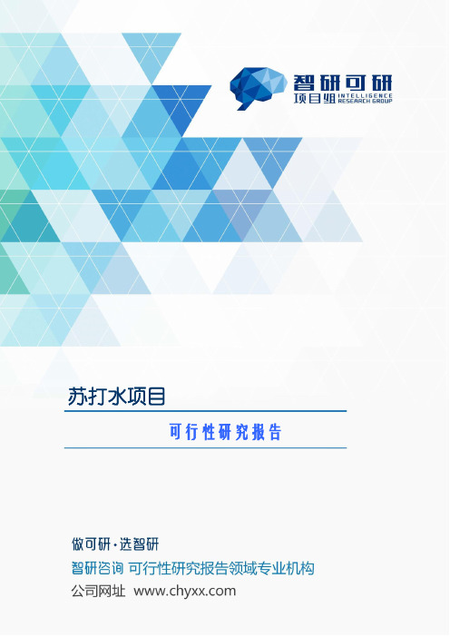 苏打水项目可行性研究报告