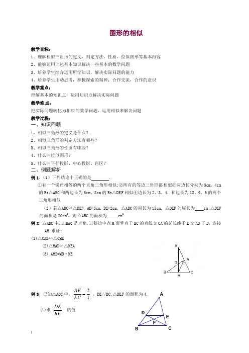 苏科初中数学九年级下册《6.0第6章 图形的相似》教案.doc
