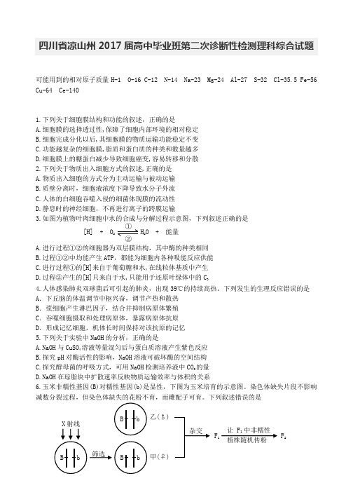 四川省凉山州2017届高中毕业班第二次诊断性检测理科综合试题