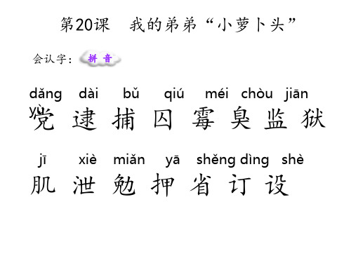 20 我的弟弟“小萝卜头”.ppt