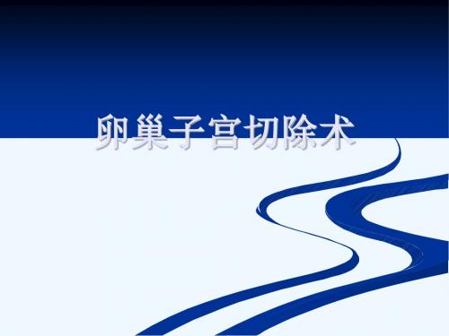 母犬卵巢子宫摘除术