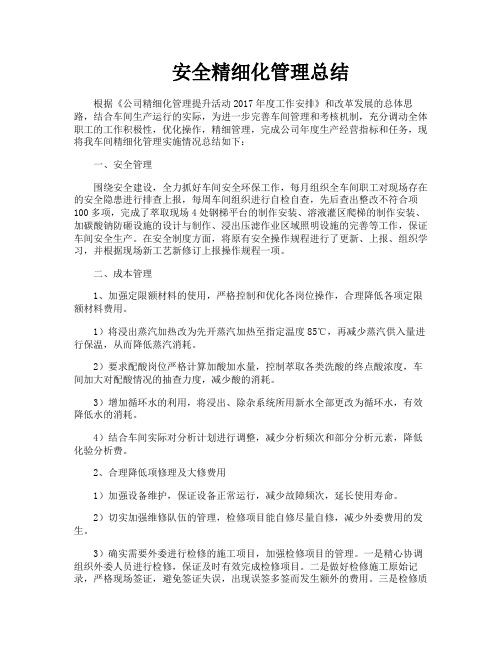 安全精细化管理总结
