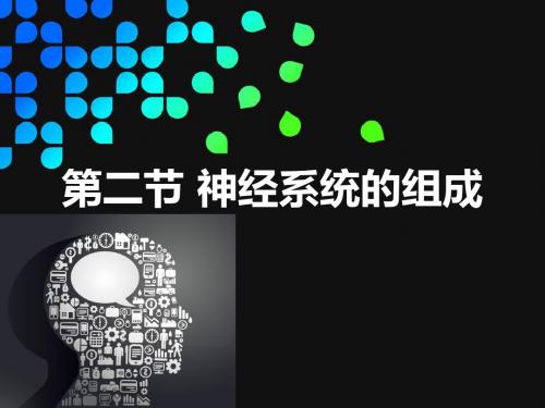 【鲁科版】(54制)生物七年级下：4.6.2《神经系统的组成》课件(2)