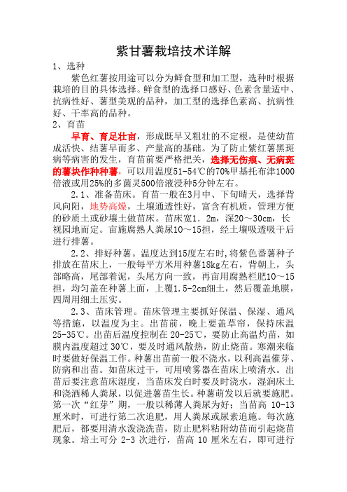 紫薯的栽培技术详细文件