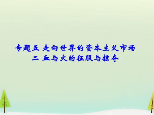 血与火的征服与掠夺PPT课件24 人民版