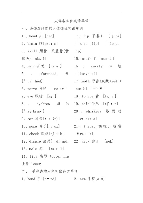 人体各部位英语单词及其他汇总