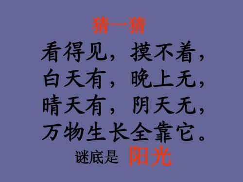 《棉鞋里的阳光》ppt