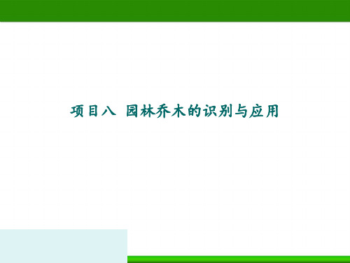 园林乔木的识别与应用