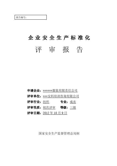纺织行业安全标准化评审报告