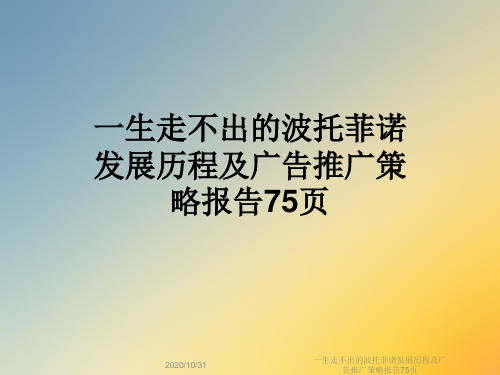 一生走不出的波托菲诺发展历程及广告推广策略报告75页