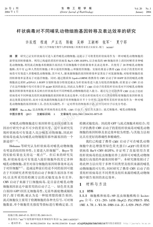 杆状病毒对不同哺乳动物细胞基因转移及表达效率的研究