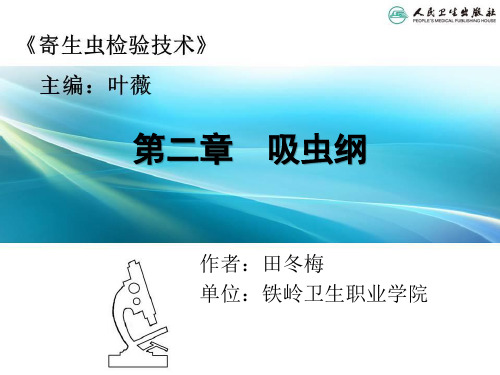 第二章  吸虫纲