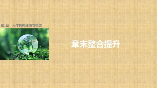 高中生物 第1章 人体的内环境与稳态章末整合提升名师课件 新人教版必修3