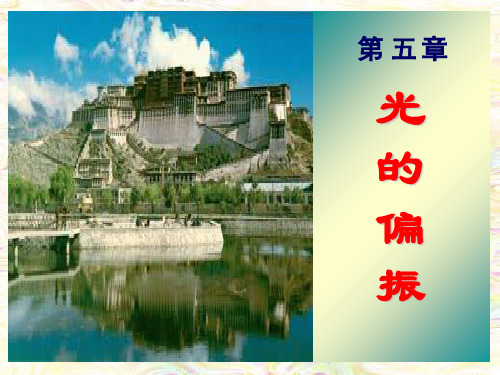 光的偏振1PPT课件