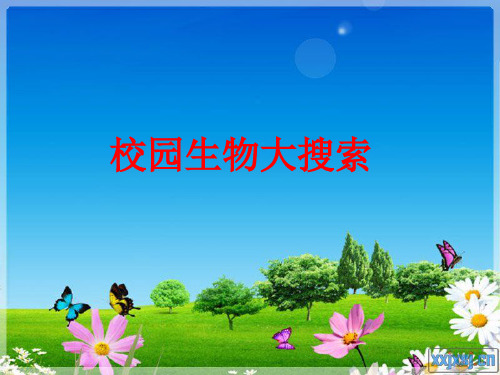 教科版六年级科学上册校园生物大搜索