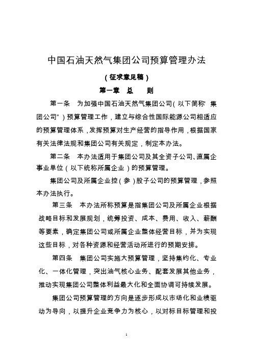 中石油预算管理办法