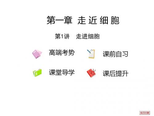 天津市梅江中学高三生物复习课件走近细胞 第1讲 走进细胞