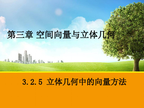 人教A版高中数学选修2-1课件3.2.5立体几何中的向量方法