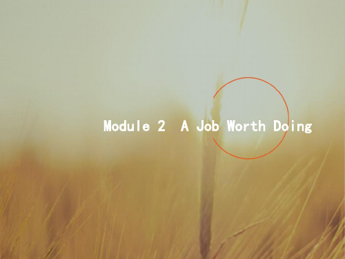 2018届高三英语外研版一轮课件：5-2Module 2 A Job Worth Doing 精品