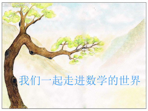 新人教版二年级下册《数学广角——推理》教学ppt课件