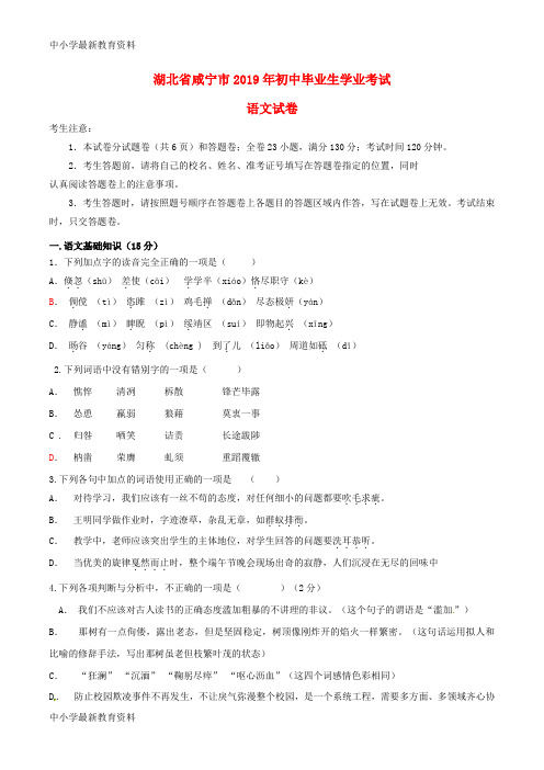 湖北省咸宁市2019年中考语文真题试题(含答案)