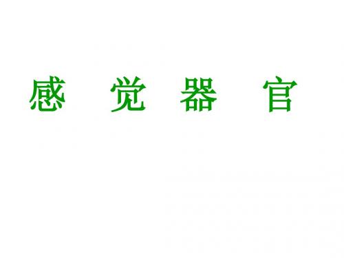 爱爱医资源-视器 人体解剖学课件